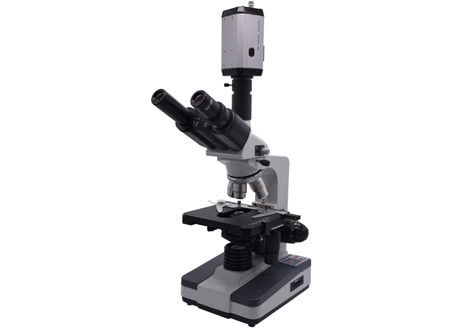 Biologische de Video van WF10X CCD 40X 0,65 Live Blood Analysis Microscope Digital