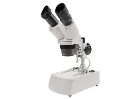 20X 4X 20mm Stereoscopische Binoculaire de Lamp Stereo Lichte Microscoop van het Microscoophalogeen