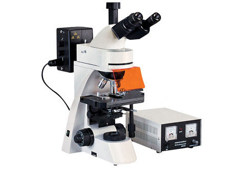 Trinocular Geleide de Verlichtings UV Lichte Microscoop van de Fluorescentiemicroscoop 1000X Kohler