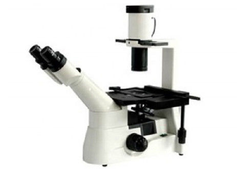 Ingepast RMS keerde Optische Microscoop Lichte WF10X/22mm Levende Cel om