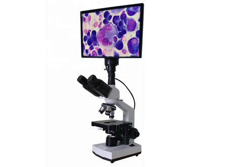 LCD van het de Besprekingswf10x 400X de Heldere Gebied van de de Microscopiebiologie Bespreking van de de Microscoopbiologie
