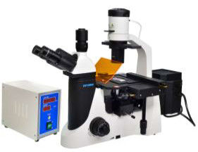 Epi van LEIDENE de Fluorescente Microscoop van het de Biologielaboratorium Microscooptrinocular 40X 1000X