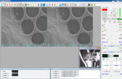 8X-300,000X de Resolutie EBSD EBSD van de aftastenElektronenmicroscoop 3-6nm