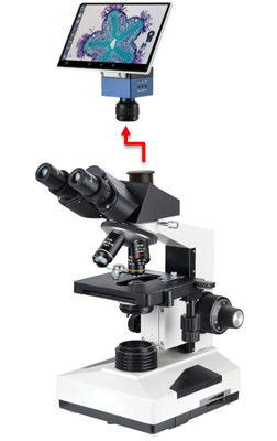 Biologische Microscoop 40-1000X van het Trinocular de Professionele Laboratorium met Sony 6.3M Camera