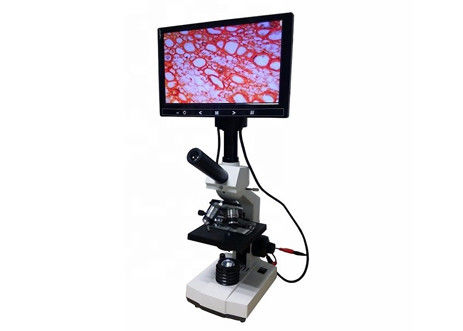 Lcd van de het Laboratorium Biologische Microscoop van WF10X 2000X Digitale de Celanalyse van het Microscoopbloed