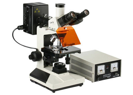 Van het epi-fluorescentie de Biologie van de de Microscoop4x 100X Lichte Microscoop Wetenschapslaboratorium