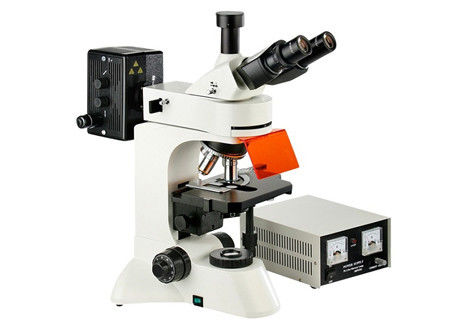 De cameraoneindigheid Epi leidde Fluorescent de Geneticaonderzoek van de Microscoopwf10x Ooglens