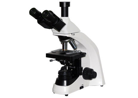 Van het de Fasecontrast van het Trinocularplan de Microscoopstudent Achromatisch With Mechanical Stage