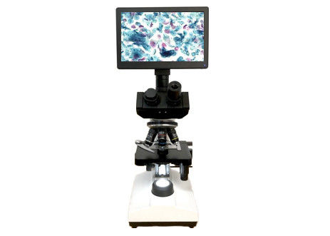 LCD Biologische de Microscoop10x 40X 6V 20W Éénogige Lichte Microscoop van het het Schermlaboratorium
