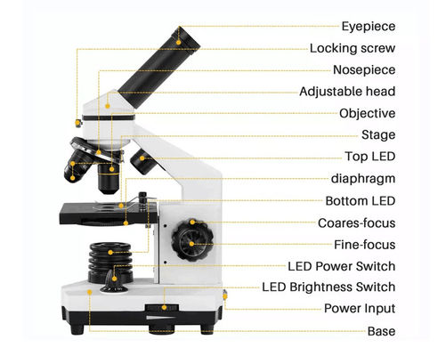 Éénogige Drawtube-ODM van Studentenbiological microscope 640X