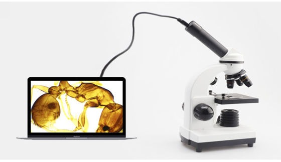 Éénogige Drawtube-ODM van Studentenbiological microscope 640X