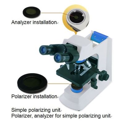 Donkere Gebied het Polariseren ODM van de Laboratorium Biologische Microscoop met 20mm Ooglens