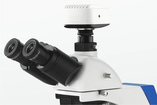 Geïntegreerde Donkere Gebied het Polariseren Laboratorium Biologische Microscoop 4 Positie