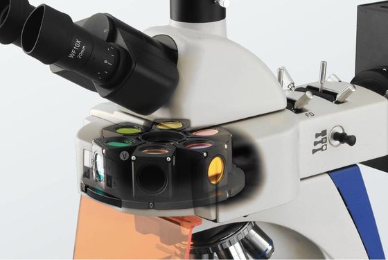 Geïntegreerde Donkere Gebied het Polariseren Laboratorium Biologische Microscoop 4 Positie