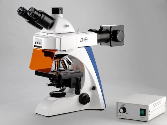 Geïntegreerde Donkere Gebied het Polariseren Laboratorium Biologische Microscoop 4 Positie