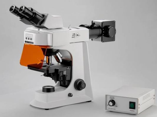 Witte Trinocular-Laboratorium Biologische Microscoop met Mechanisch Stadium