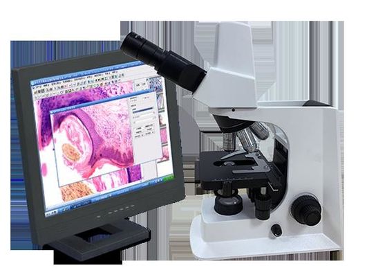 Witte Trinocular-Laboratorium Biologische Microscoop met Mechanisch Stadium
