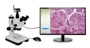 60FPS WiFi-Digitale Camera 4 van de overdrachtmicroscoop de Vertoning van Groepencrosshair