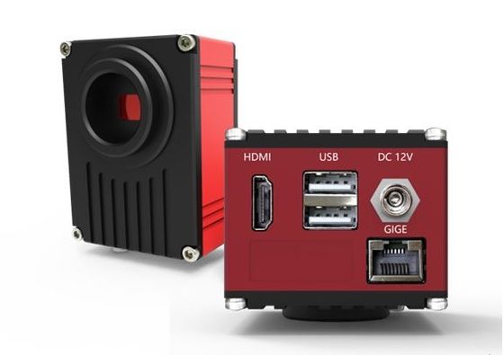 De Microscoop Digitale Camera van HDMI 60FPS met Gigabit-Netwerkinterface