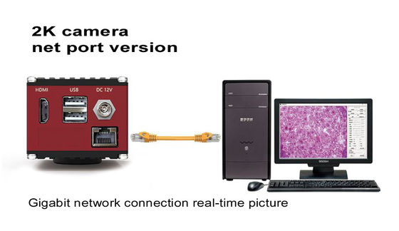 De Microscoop Digitale Camera van HDMI 60FPS met Gigabit-Netwerkinterface
