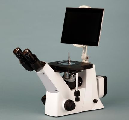 50X-1000X het metallurgische Omgekeerde Optische Heldere Gebied van Microscoopcombinated