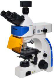 Van de het Laboratoriummicroscoop 40X 100X Epi van de Trinocularbiologie de Fluorescentiemicroscoop