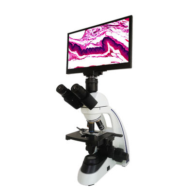 Samenstellingslcd Microscoop voor Levende Bloedcel en de Dode Analyse van de Bloedcel