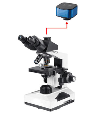 Biologische Microscoop 40-1000X van het Trinocular de Professionele Laboratorium met Sony 6.3M Camera