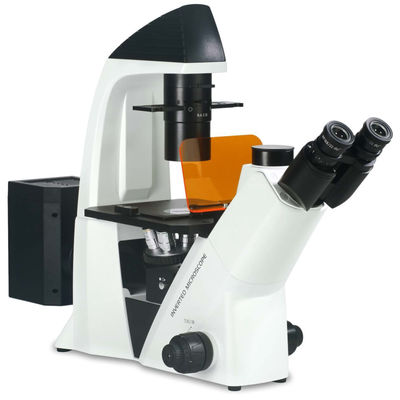 40X-400X omgekeerde Optische Microscoop WF10X 22mm voor Celobservatie en Cultuur