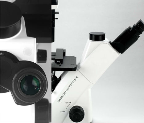 40X-400X omgekeerde Optische Microscoop WF10X 22mm voor Celobservatie en Cultuur